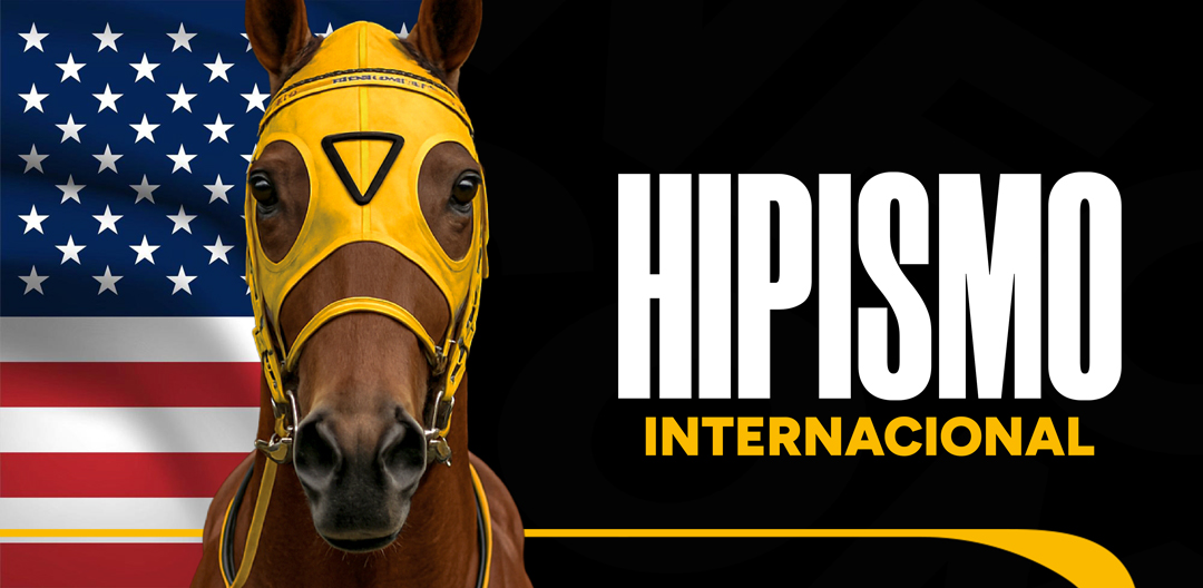 Hipismo Internacional