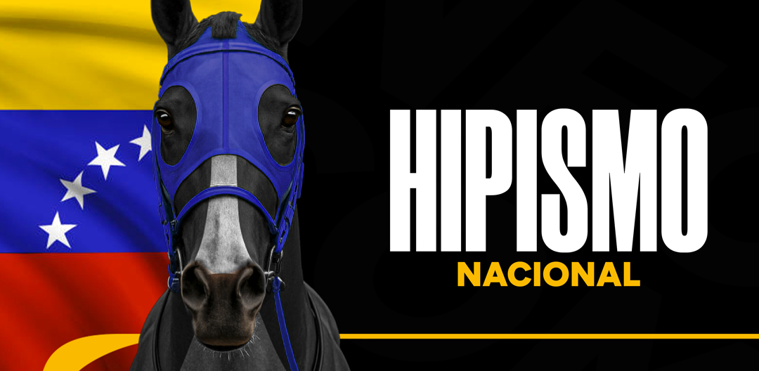 Hipismo Internacional